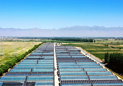 農(nóng)業(yè)大棚